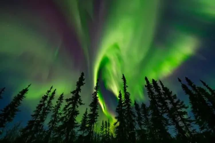 阿拉斯加極光-費爾班克斯(三晚追逐極光)