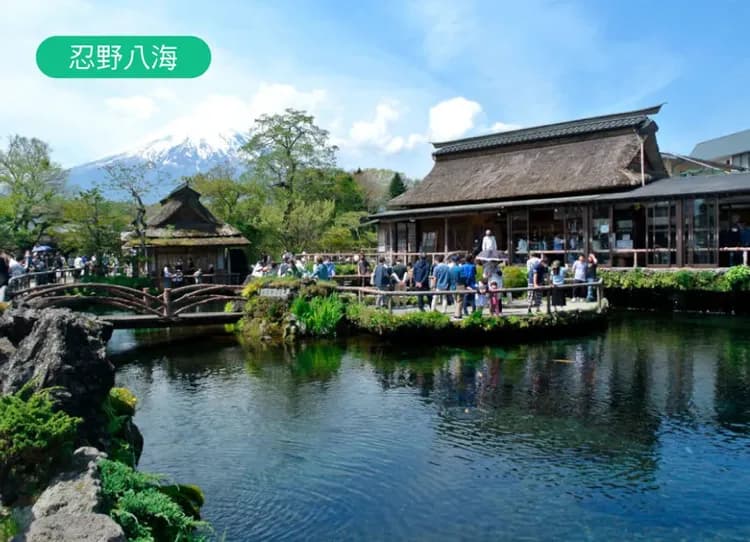 【泰超值】東京溫泉5日.富士山景觀纜車.大石公園.忍野八海.豐洲千客萬來.新倉山淺間神社.麻布之丘-5