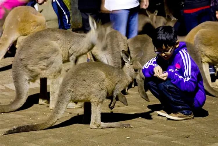 庫倫賓野生動物園