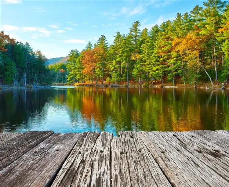 美加東旅遊｜美加東楓全覽、魁北克古城、尼加拉面瀑房、紐約SUMMIT、九大名城、法式料理、景觀西餐、龍蝦餐12日-14