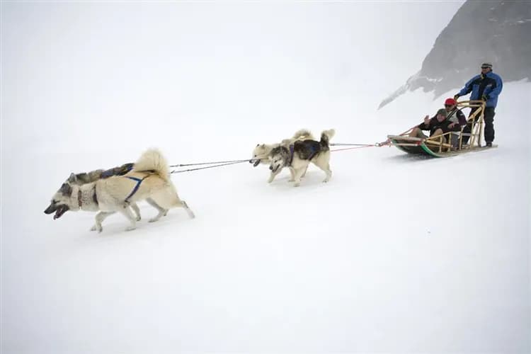 璽品北歐極光10日|北歐絕景‧極地體驗‧極光狩獵(二晚極光屋)-7