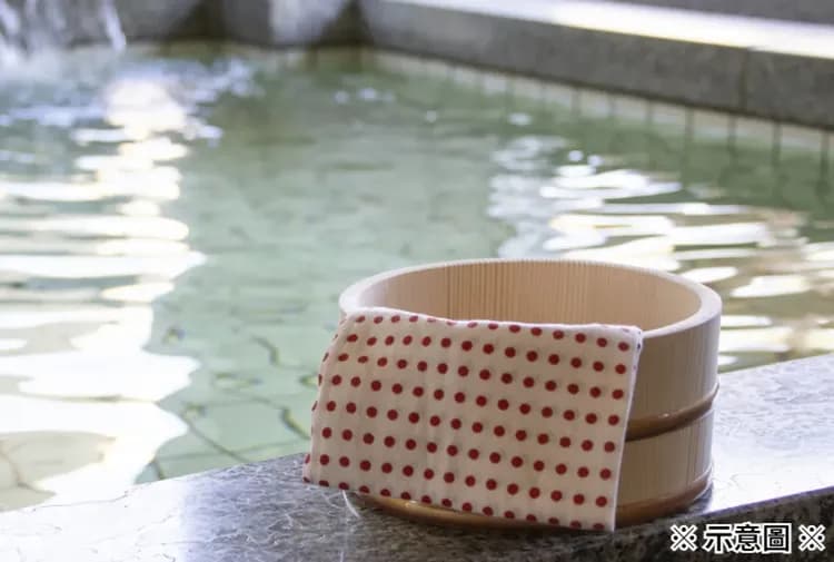 【夏季限定！保證左岸觀覽席】日本三大花火：長岡花火大會一日遊．回程含溫泉入浴｜新宿出發【已售罄】-6