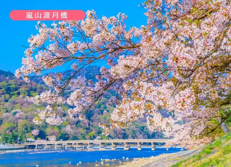 【線上旅展】詩意京都關西5日嵐山人力車.和服體驗.米其林清水寺.下鴨神社.保住兩晚心齋橋周邊.和牛吃到飽酒水暢飲(華航)-5