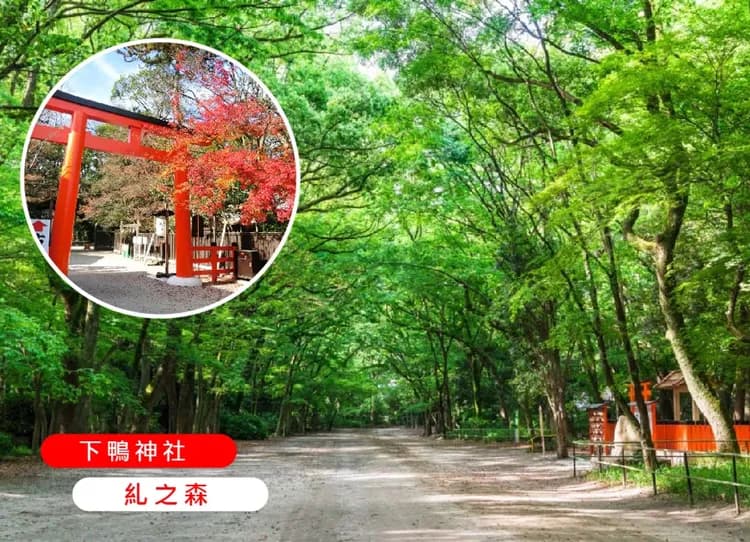 【線上旅展】詩意京都關西5日嵐山人力車.和服體驗.米其林清水寺.下鴨神社.保住兩晚心齋橋周邊.和牛吃到飽酒水暢飲(華航)-7