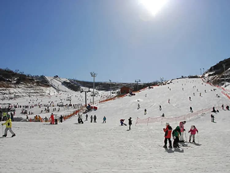 釜慶冬雪繽紛～伊甸園滑雪、古宅韓服體驗、天空膠囊列車、世界文化遺產五日-9