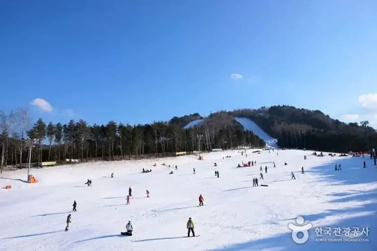 【首爾出發】韓國FUN SKI滑雪冬令營 - 龍平度假村四日遊｜含6小時滑雪課、免費夜間滑雪-7