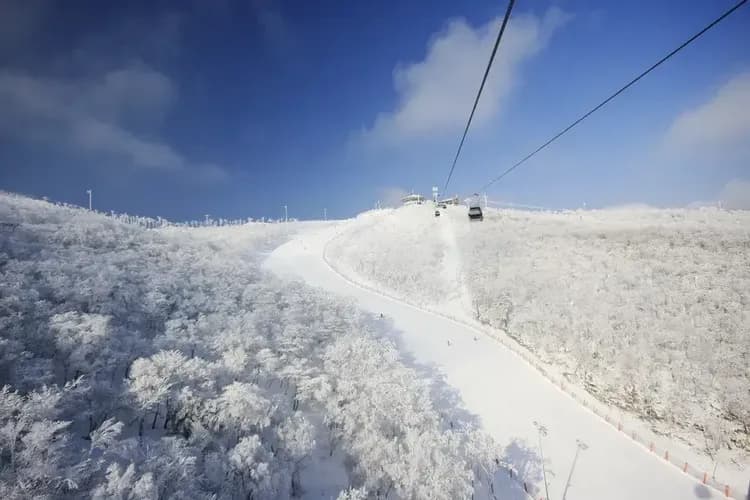 【首爾出發】韓國GOGO SKI滑雪冬令營 - HIGH 1度假村四日遊｜含6小時滑雪課、免費夜間滑雪 ★限量每人最高折$6000! 售完為止★-10