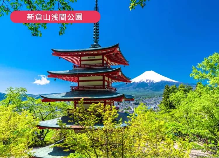 【泰超值】東京溫泉5日.富士山景觀纜車.大石公園.忍野八海.豐洲千客萬來.新倉山淺間神社.麻布之丘 (泰獅航）-6