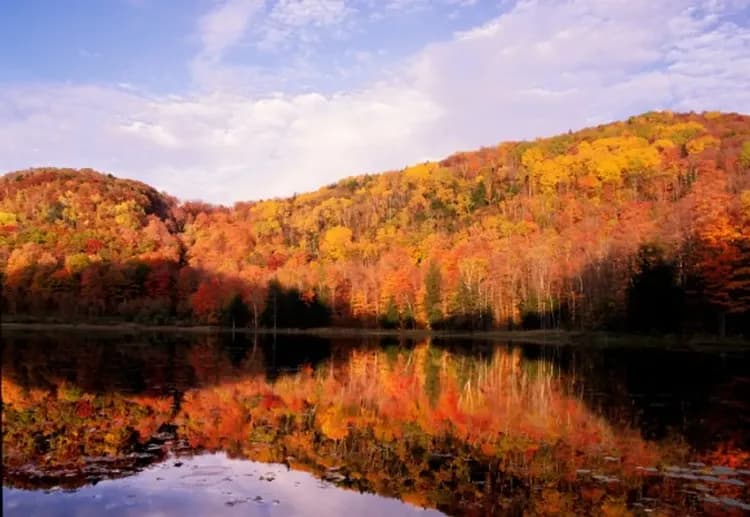 白山國家森林公園圖