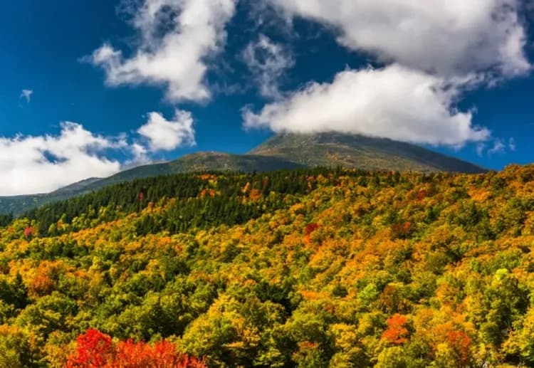 白山國家森林公園