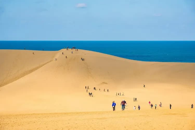 TXG高松山陰山陽～若櫻懷舊鐵道、島根神話之鄉、松江城屋型船、賞味溫泉美食六日