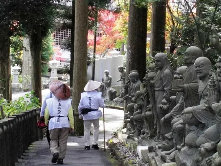 TXG高松山陰山陽～若櫻懷舊鐵道、島根神話之鄉、松江城屋型船、賞味溫泉美食六日-6