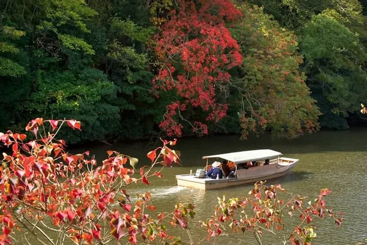 松江城堀川遊覽船(約50分鐘)