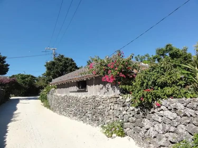 【竹富島一日遊】水牛車漫遊古樸小島的悠閒時光｜石垣島港出發-5