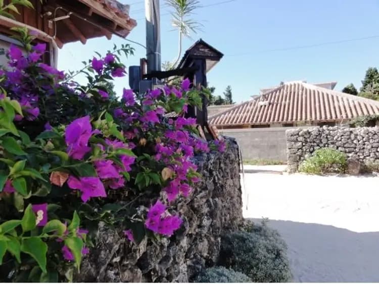 【竹富島一日遊】水牛車漫遊古樸小島的悠閒時光｜石垣島港出發-6