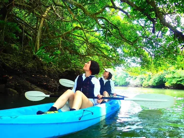 【紅樹林SUP／獨木舟體驗】探索石垣島自然秘境｜石垣島港出發-7