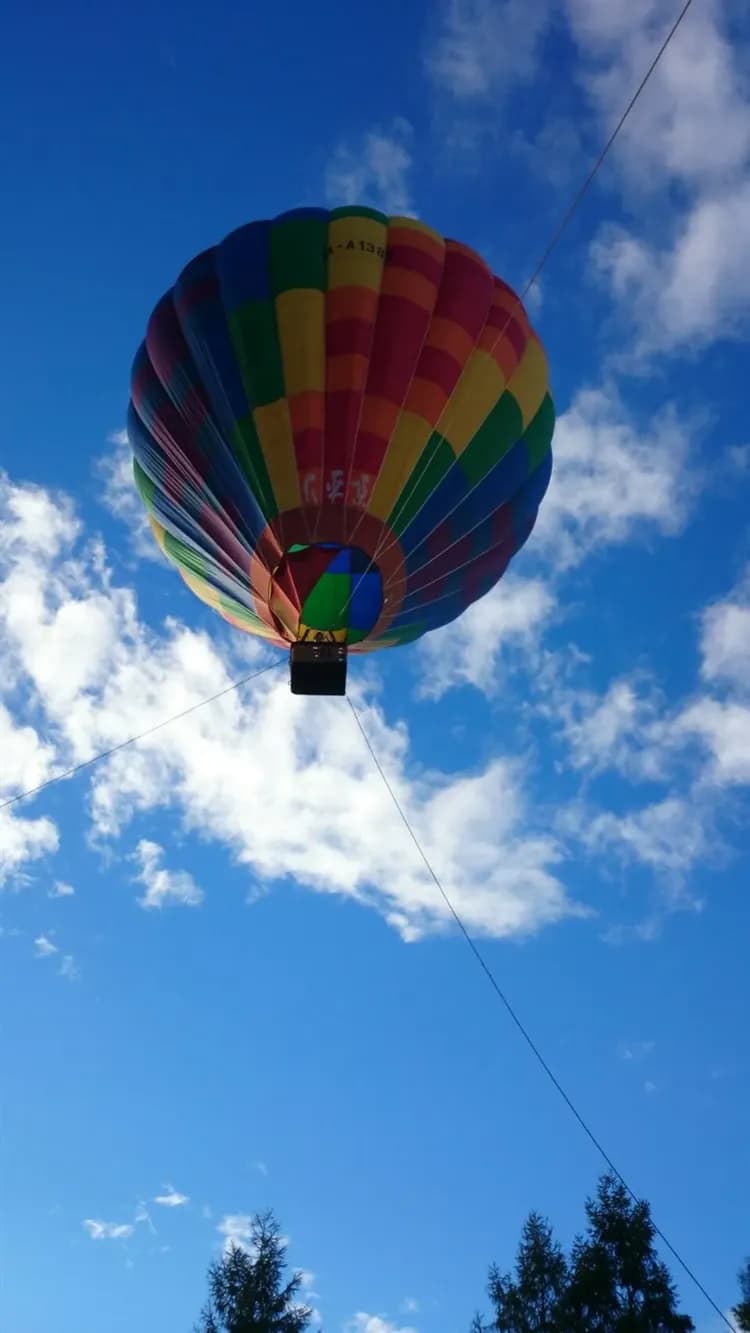 冬季北海道旅遊｜旭山動物園.美瑛青池.銀河流星瀑布.戲雪活動.白色燈樹節.熱氣球.小樽.螃蟹美食五日｜保住三晚溫泉