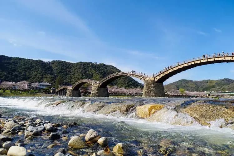 岩國錦帶橋-岩國錦帶橋