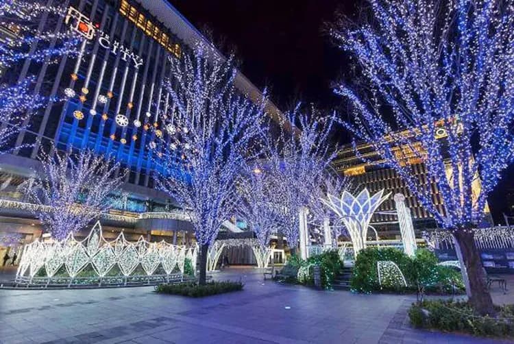 九州博多彩燈節～晨霧湯布院、柳川扁舟搖船、長腳蟹吃到飽、門司港懷舊旅行五日