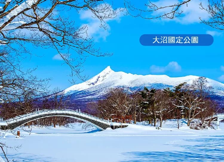 高雄出發冬戀物語北海道5日.函館夜景纜車.爆萌企鵝.玩雪三合一.小樽運河.洞爺湖.札幌彩燈.三大螃蟹吃到飽-12