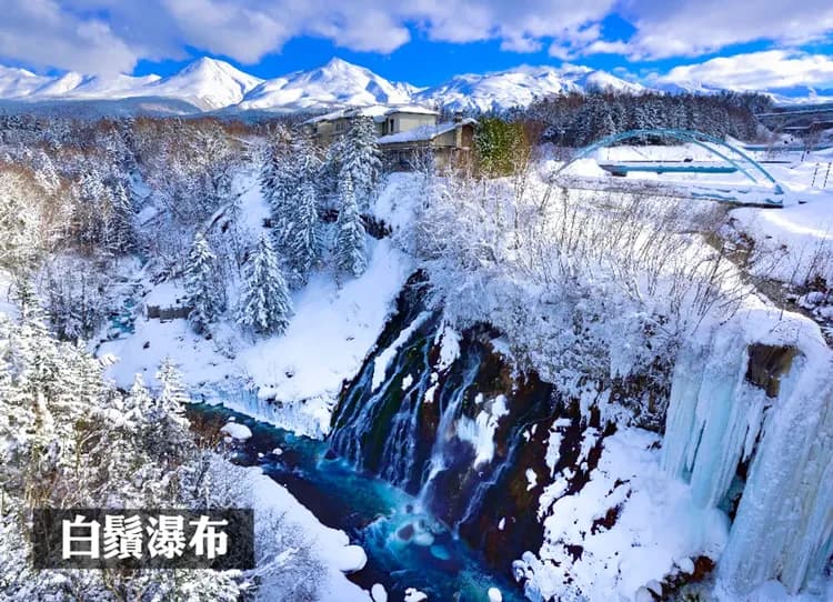 【限時限量】藍色奇蹟北海道5日.戲雪7合1.萌爆企鵝.熊牧場.秘境青池.小樽酒廠見學.洞爺彩燈隧道.敘敘苑燒肉.雙溫泉-6