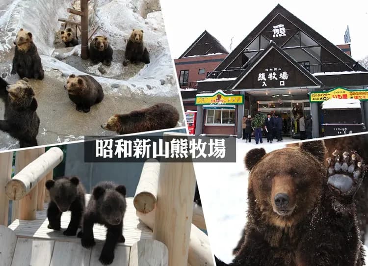 高雄出發雪夢幻北海道6日.洞爺湖彩燈.戲雪.企鵝遊行.猴子泡湯.函館夜景.藻岩山纜車.白色燈樹節.敘敘苑燒肉.三大螃蟹-10