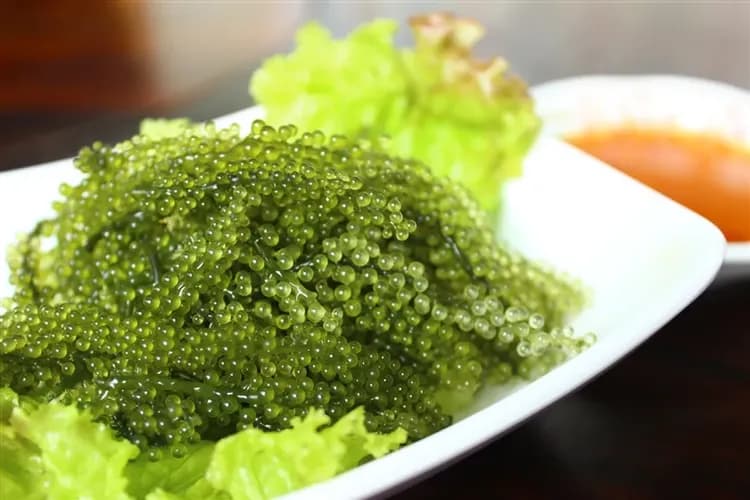 兒童最高折一萬|暑遊沖繩.採海葡萄.恐龍侏儸紀.琉球文化.系滿魚市.海豚表演.好禮多重送四日|連泊３晚A級市區飯店-8