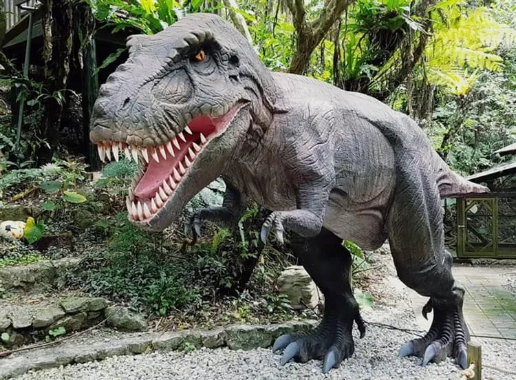 兒童最高折一萬|暑遊沖繩.採海葡萄.恐龍侏儸紀.琉球文化.系滿魚市.海豚表演.好禮多重送四日|連泊３晚A級市區飯店