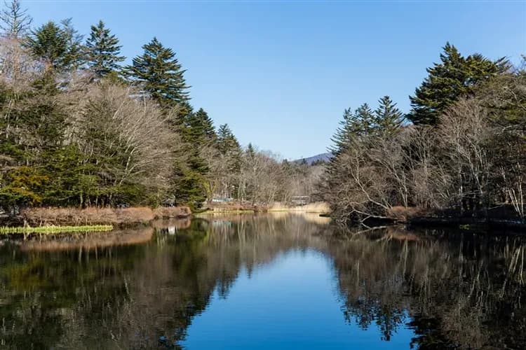 楓紅東京深度旅遊|世界遺產日光.偕樂園.伊香保.輕井澤.箱根富士五湖.西湖里根場.三島大橋.關東五溫泉楓紅巡禮八日-5