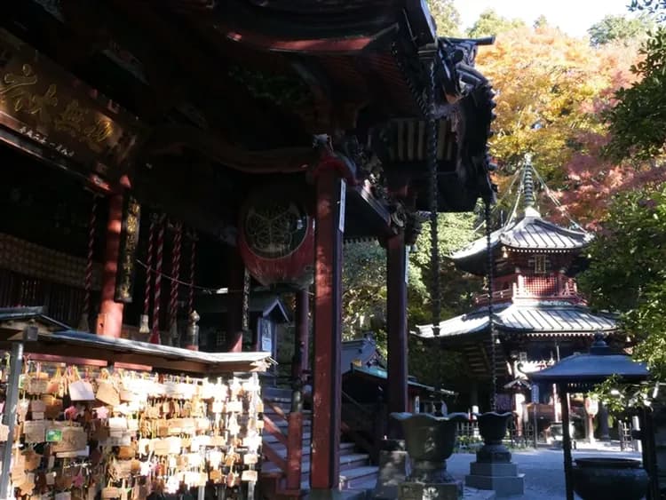楓紅東京深度旅遊|世界遺產日光.偕樂園.伊香保.輕井澤.箱根富士五湖.西湖里根場.三島大橋.關東五溫泉楓紅巡禮八日-13