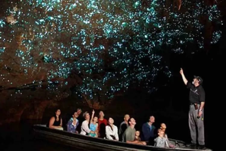 純享紐西蘭～庫克山國家公園、皇后天際纜車、蒸汽船螢火蟲、塔斯曼冰河船10日-6