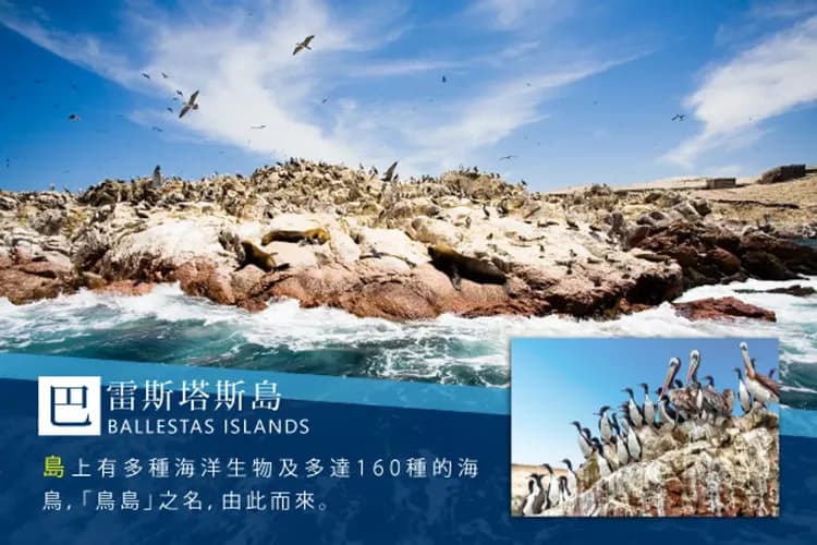 巴雷斯塔斯島(觀光遊艇、鳥島生態之旅)