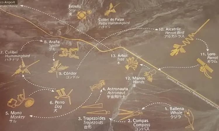 納斯卡線-納斯卡線(小飛機)