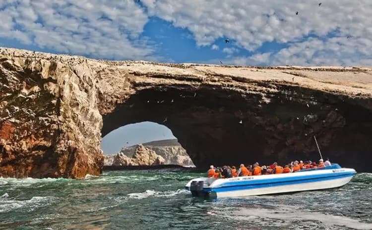 鳥島生態之旅-巴雷斯塔斯島(觀光遊艇、鳥島生態之旅)