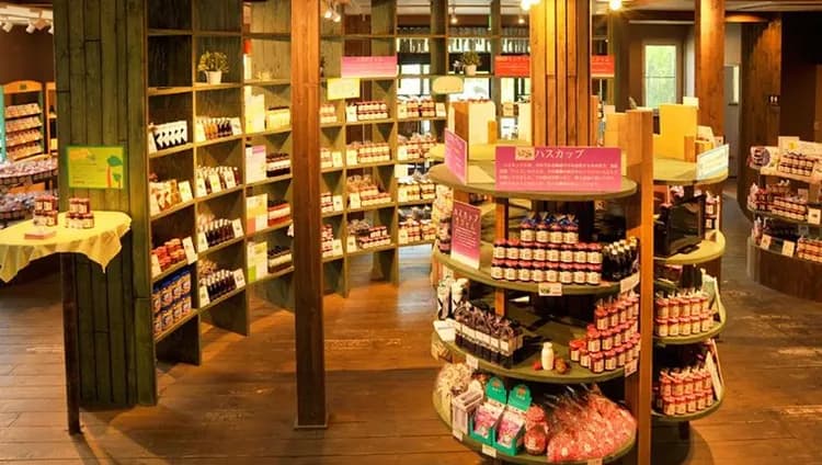 源自官網-兩大體驗活動