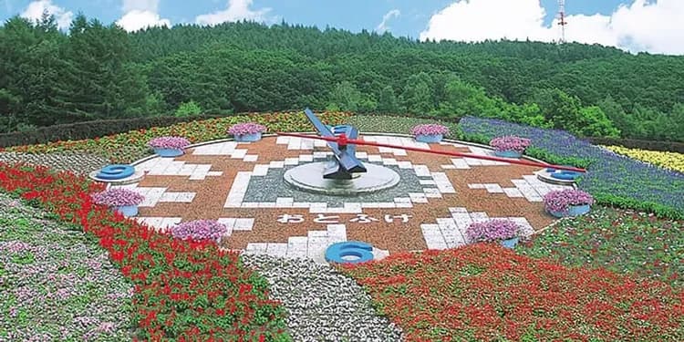 北海道雪戀人～富良野戲雪、兩大體驗活動、旭山動物園、三大蟹溫泉香五日-5