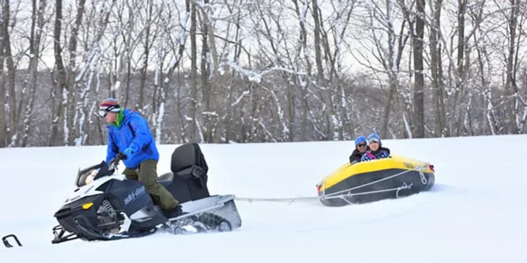 精彩雪上活動(可愛草泥馬)