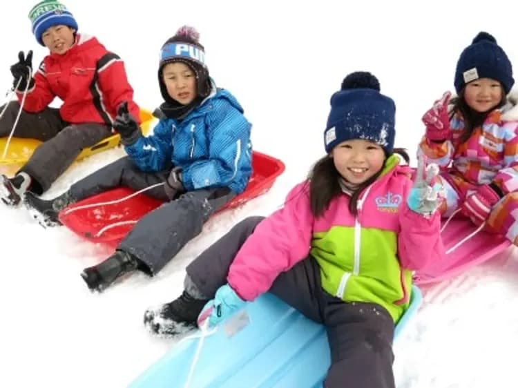 精彩雪上活動(可愛草泥馬)