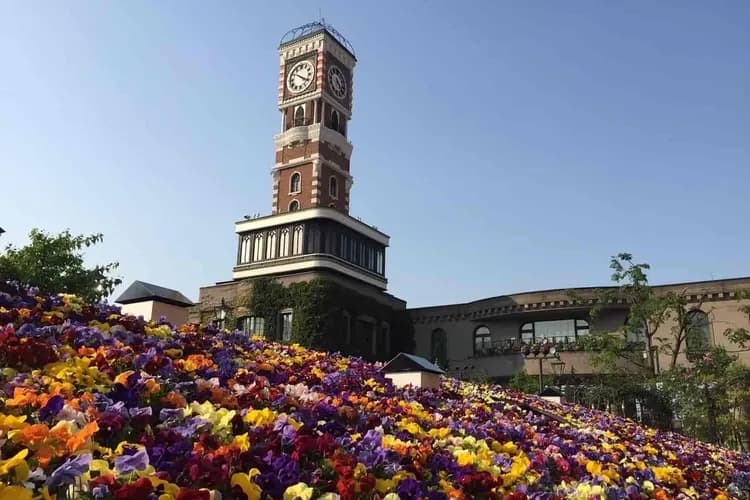 北海道好星情~小樽函館山、洞爺湖彩燈節、壽司達人體驗、洞爺溫泉鄉六日-7