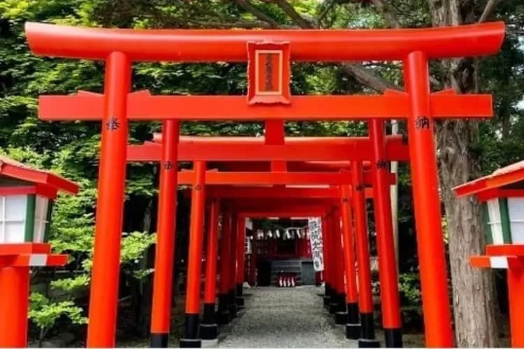 北海道好星情~小樽函館山、洞爺湖彩燈節、壽司達人體驗、洞爺溫泉鄉六日-8