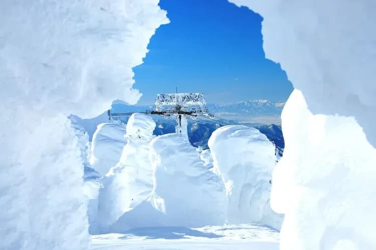 藏王樹冰纜車(冬季限定)