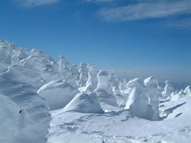 藏王樹冰纜車(冬季限定)