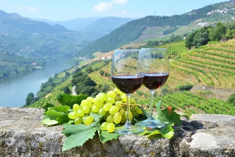 【賀歲葡萄牙、預購減5000】新春葡萄牙、佩納宮波爾圖、道地美食體驗、兩晚五星飯店10日-16