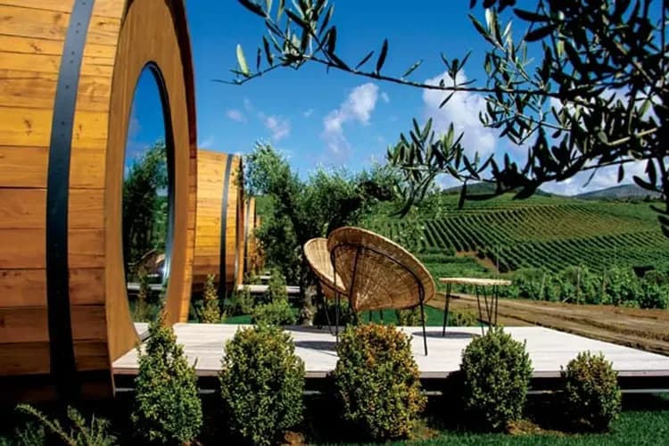 波多百年酒莊(品酒+午餐)