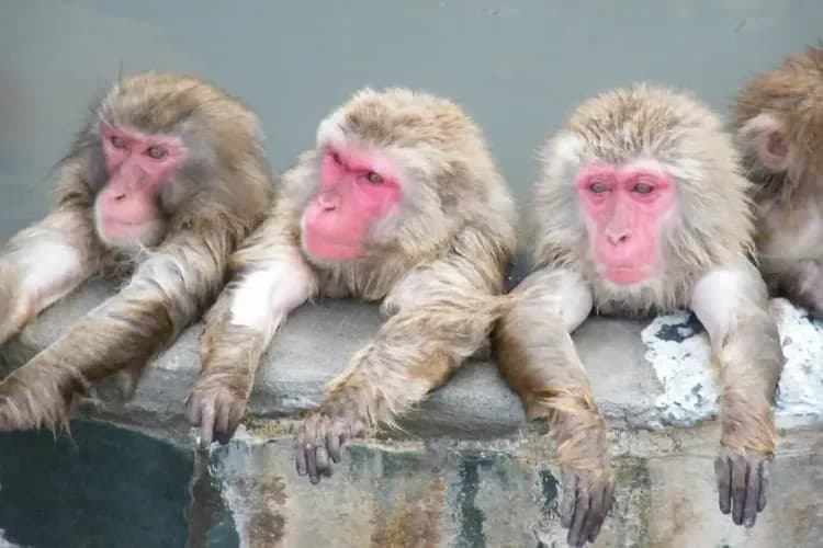 函館熱帶植物園 官網提供-函館熱帶植物園