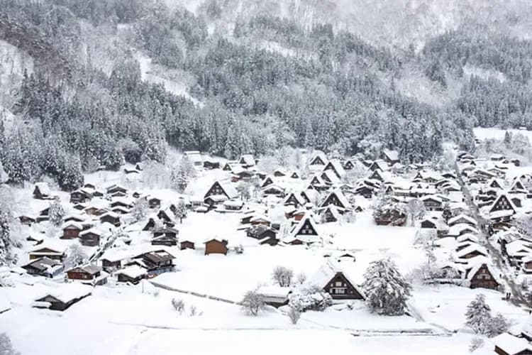 北陸雙點燈～冬華競演彩燈、飛驒之里點燈、庄川峽雪見舟、牧歌之里戲雪五日