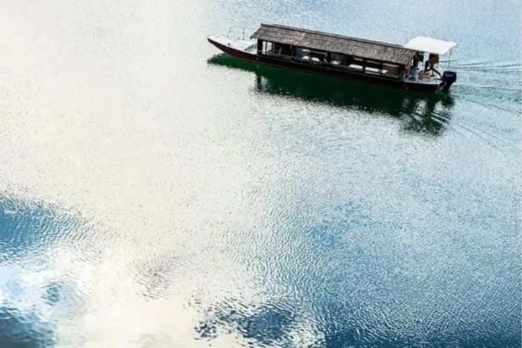 仁淀川屋形船(奇蹟的清流)