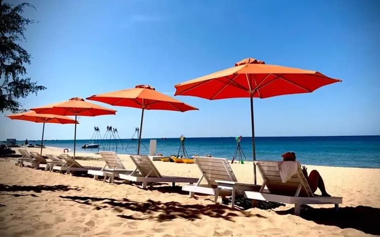 異型沙灘(椰子一顆)