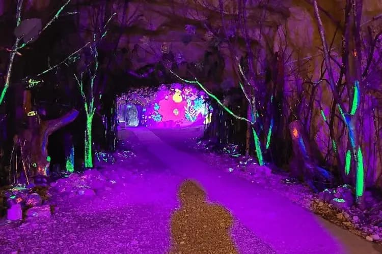 清州首爾喜迎春~丹陽滿天下、水族館塗鴉秀、德壽宮韓服遊、丹陽大明渡假村五日-9