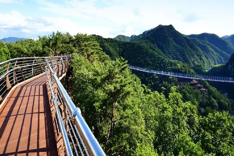 清州首爾喜迎春~丹陽滿天下、水族館塗鴉秀、德壽宮韓服遊、丹陽大明渡假村五日-10